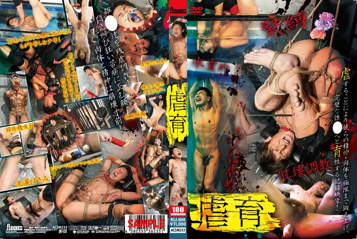 Acceed – 虐育